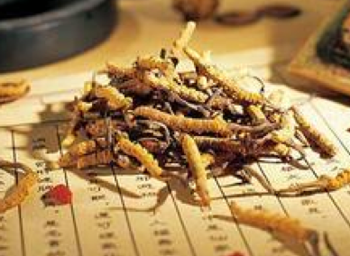 谋划未来开拓中医药发展新境界