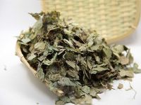 柏子仁混有黄砂粒性状鉴别