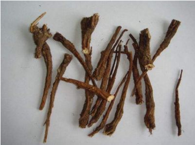 盘点适合女性补血的经典方