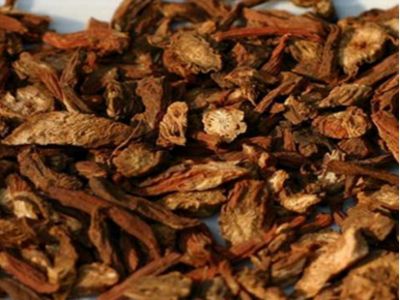 兰花根的功效与作用