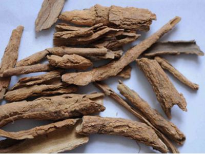 中药茶疗调补肾阳不足