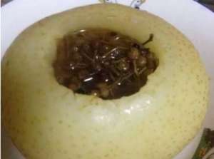 聚花草的功效与作用