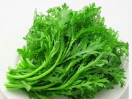 真头痛如何用针灸治疗
